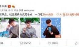 爆料娱乐圈网红小说免费阅读,免费阅读，揭秘网红幕后故事